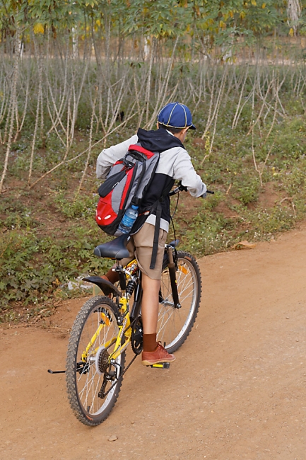 Famille et amis-NOV17-009